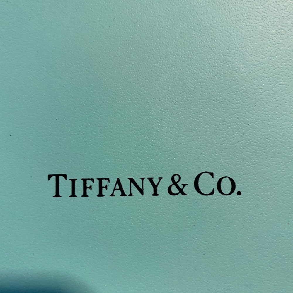 Authentic Tiffany gift bag
